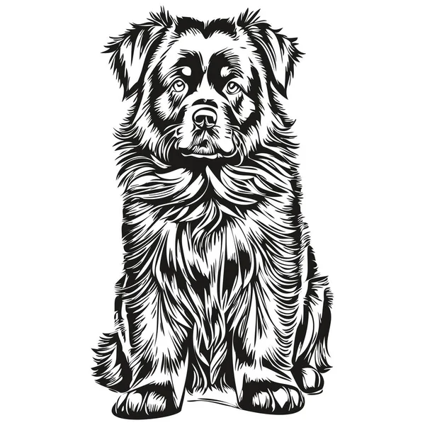 Newfoundland Hond Hand Getrokken Logo Tekening Zwart Wit Lijn Kunst — Stockvector
