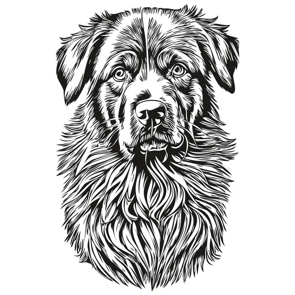 Newfoundland Cão Cabeça Linha Desenho Vetor Desenhado Mão Ilustração Com — Vetor de Stock