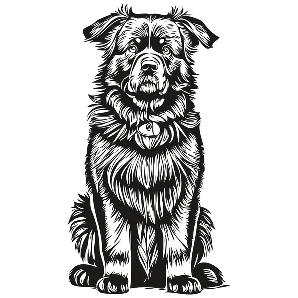 Newfoundland Hond Logo Vector Zwart Wit Vintage Schattige Hond Hoofd — Stockvector