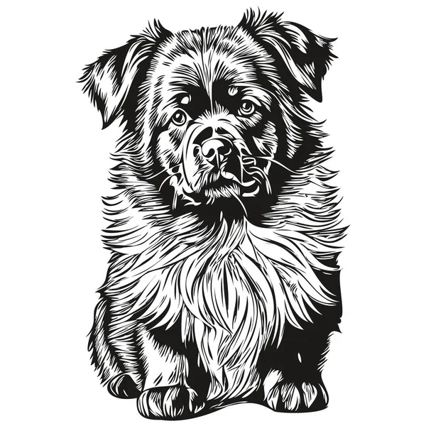 Newfoundland Hond Logo Vector Zwart Wit Vintage Schattige Hond Hoofd — Stockvector
