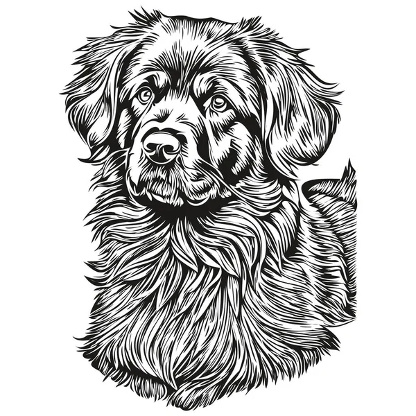 Νέα Foundland Σκυλί Περίγραμμα Μολύβι Σχέδιο Τέχνης Μαύρο Χαρακτήρα Λευκό — Διανυσματικό Αρχείο