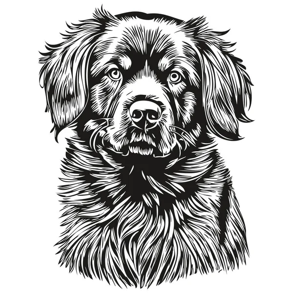 ニューファンドランド犬の鉛筆手描きベクトル アウトラインイラストペットの顔のロゴ黒と白の現実的な品種のペット — ストックベクタ