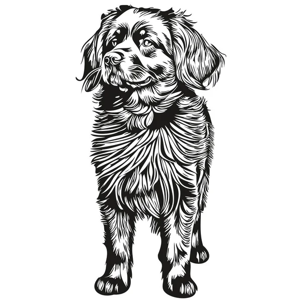纽芬兰省狗铅笔手绘矢量 勾画出宠物脸标识黑白轮廓 — 图库矢量图片
