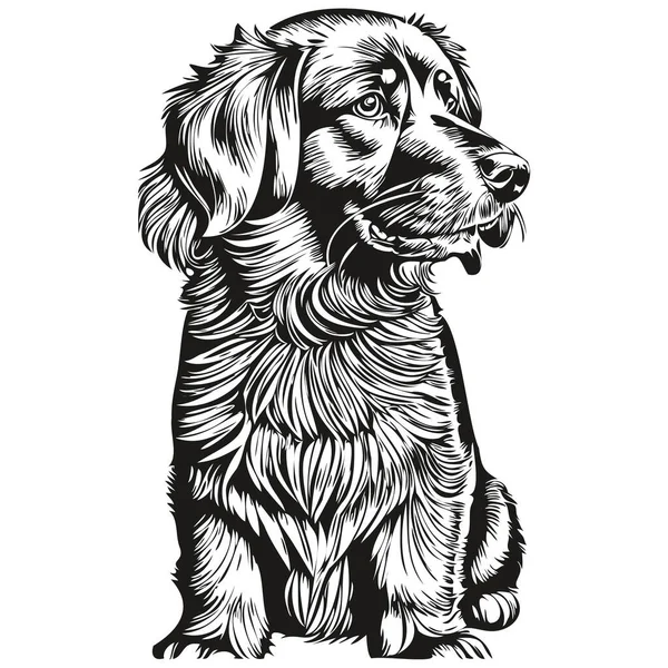 ニューファンドランドの犬のベクトルグラフィック 手描きの鉛筆動物ラインイラスト — ストックベクタ