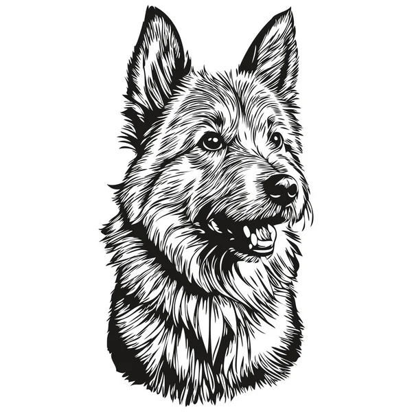 Norwich Terrier狗黑色绘图矢量 孤立的人脸绘画素描线图解 — 图库矢量图片