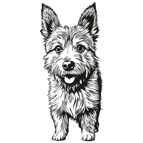 Norwich Terrier Собака Мультфильм Лицо Чернила Портрет Черно Белый Рисунок — стоковый вектор