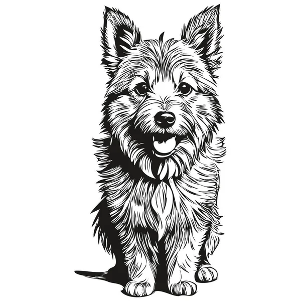Norwich Terrier Cane Cartone Animato Faccia Inchiostro Ritratto Disegno Schizzo — Vettoriale Stock
