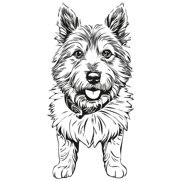 Norwich Terrier Retrato Tinta Cara Dibujos Animados Para Perros Dibujo — Archivo Imágenes Vectoriales