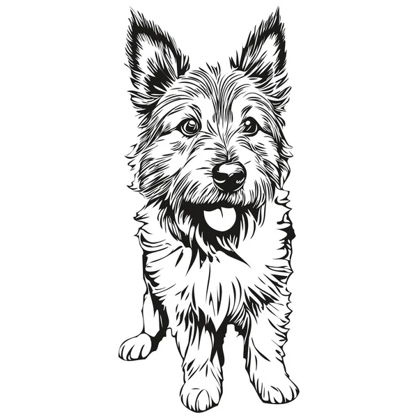 Norwich Terrier Cane Volto Vettore Ritratto Divertente Contorno Animale Domestico — Vettoriale Stock