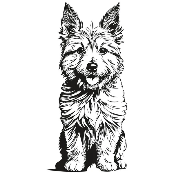 Norwich Terrier Dog Face Vector Portrait Funny Outline Pet Illustration — 스톡 벡터