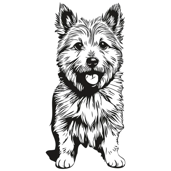 Norwich Terrier Cane Disegnato Mano Logo Disegno Bianco Nero Linea — Vettoriale Stock