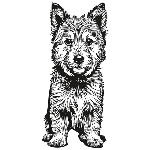 ノリッジテリア犬手描きロゴ黒と白のラインアートペットイラストスケッチ図面 — ストックベクタ