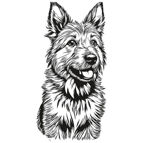 Норвич Терьер Собака Нарисовал Логотип Рисовать Черно Белая Линия Животного — стоковый вектор