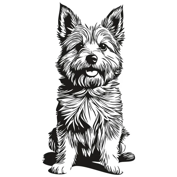 ノリッジテリア犬手描きのロゴは黒と白のラインアートペットのイラストを描く — ストックベクタ