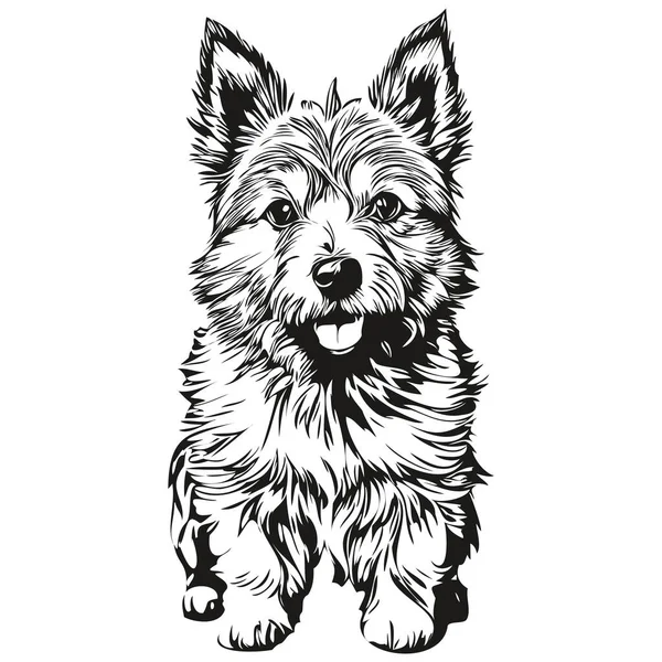 Norwich Terrier Cane Linea Testa Disegno Vettore Illustrazione Disegnata Mano — Vettoriale Stock
