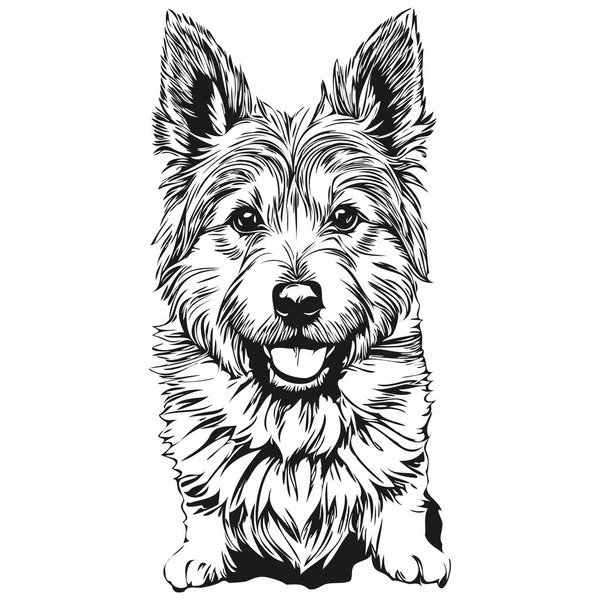 Norwich Terrier Dog Ink Sketch Drawing Vintage Tattoo Shirt Print — Stock Vector