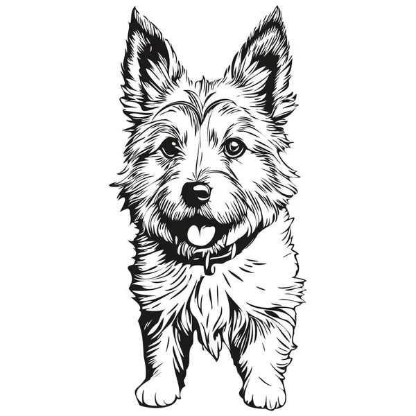 Norwich Terrier Hund Logo Vektor Schwarz Und Weiß Vintage Niedlichen — Stockvektor