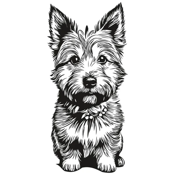 Norwich Terrier köpek logosu siyah-beyaz, klasik köpek kafası oymalı çizim