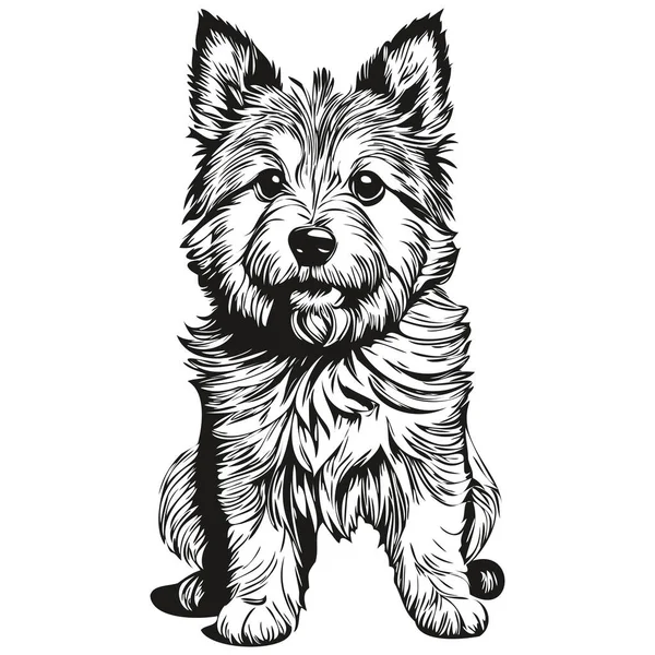 Norwich Terrier狗标识向量黑白 老式可爱的狗头雕刻 — 图库矢量图片