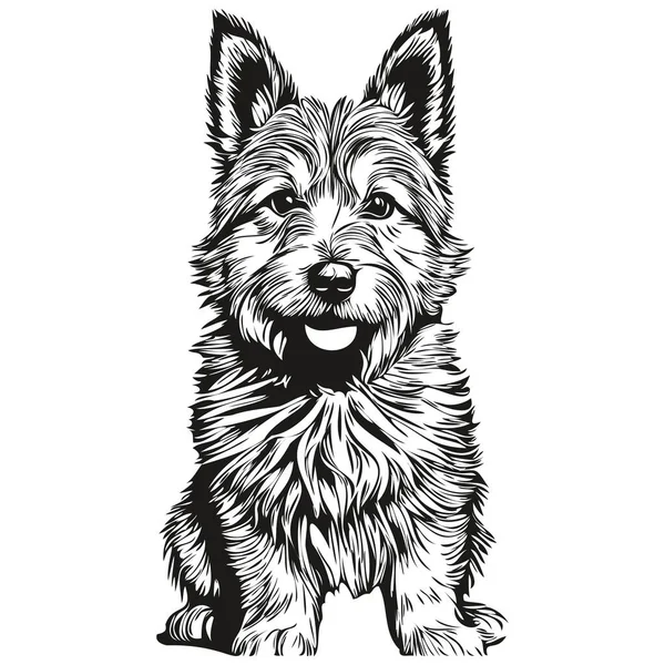Chien Norwich Terrier Croquis Pour Chien Illustration Gravure Noir Blanc — Image vectorielle