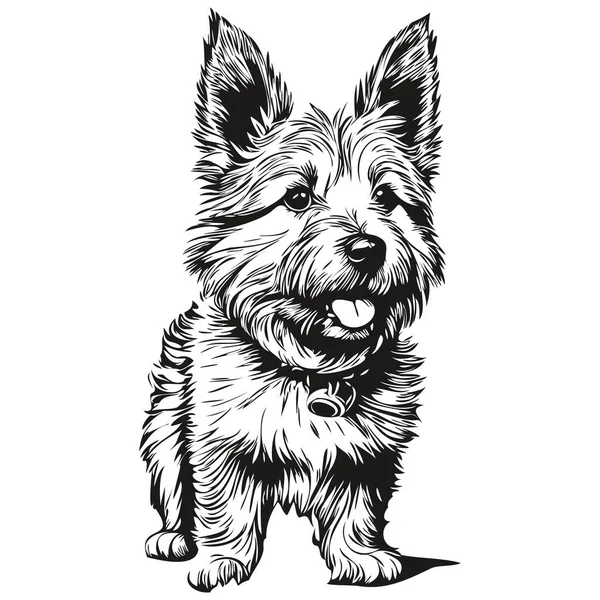 Norwich Terrier Dog Silhouette Animal Line Illustration Hand Draw Black — 스톡 벡터
