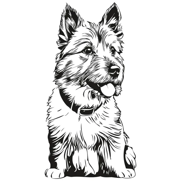 Norwich Terrier Kutya Realisztikus Kisállat Illusztráció Kézrajz Arc Fekete Fehér — Stock Vector