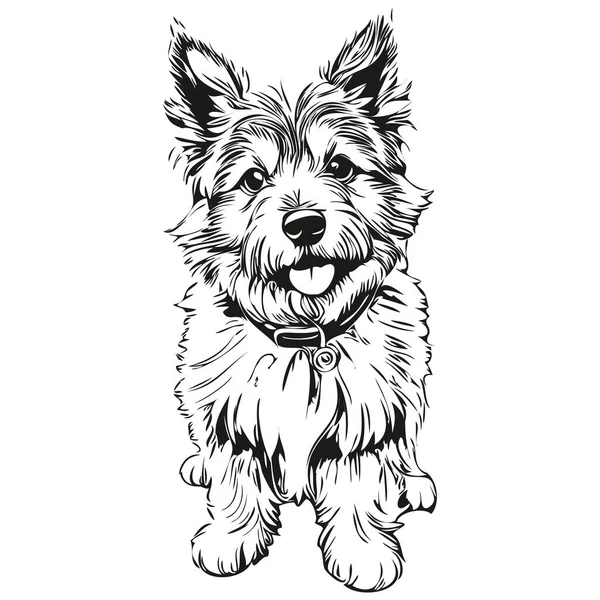 Norwich Terrier Dog Realistic Pet Illustration Hand Drawing Face Black — Stock Vector