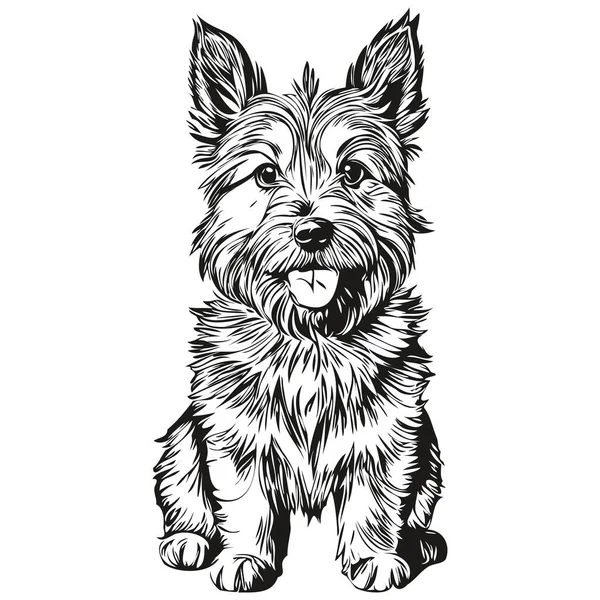Norwich Terrier狗狗T恤黑白相间 可爱有趣的轮廓画图矢量逼真的宠物轮廓 — 图库矢量图片