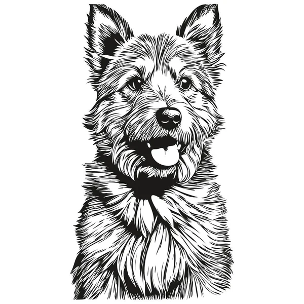 Norwich Terrier狗逼真宠物图解 手绘脸黑白矢量草图 — 图库矢量图片