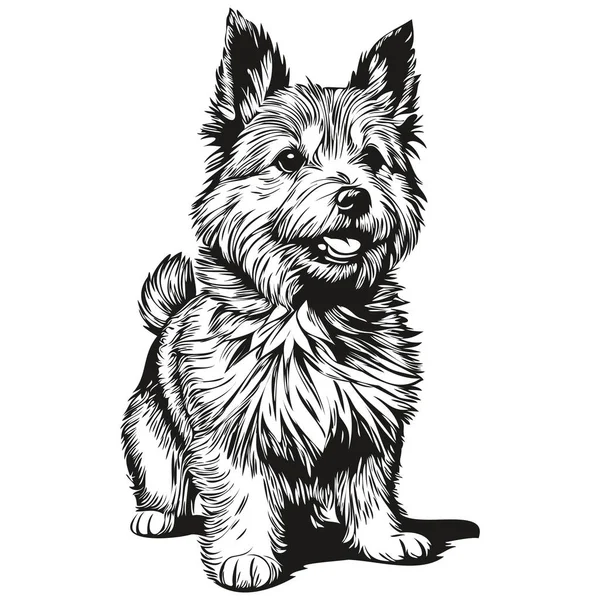 Norwich Terrier狗T恤黑色和白色打印 可爱有趣的轮廓绘制矢量 — 图库矢量图片