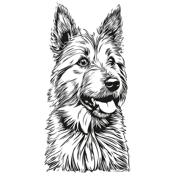 Norwich Terrier Cane Vettore Volto Disegno Ritratto Schizzo Stile Vintage — Vettoriale Stock