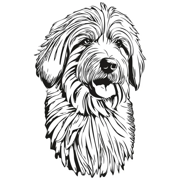 Old Russian Sheepdog Cartoon Face Ink Portrait Black White Sketch — стоковый вектор