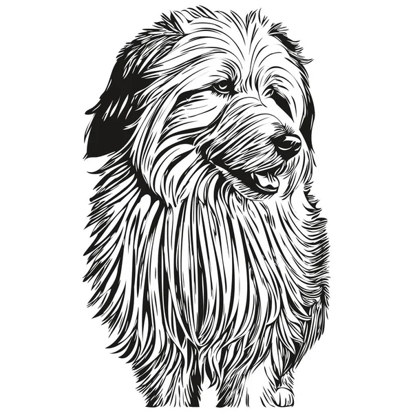 Velho Inglês Sheepdog Raça Linha Desenho Clip Arte Animal Mão — Vetor de Stock