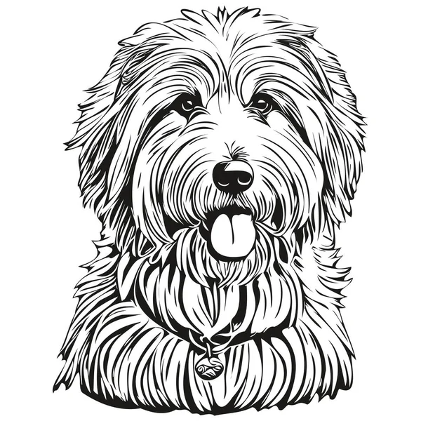 Starý Angličtina Ovčák Pes Kreslený Obličej Inkoust Portrét Černá Bílá — Stockový vektor