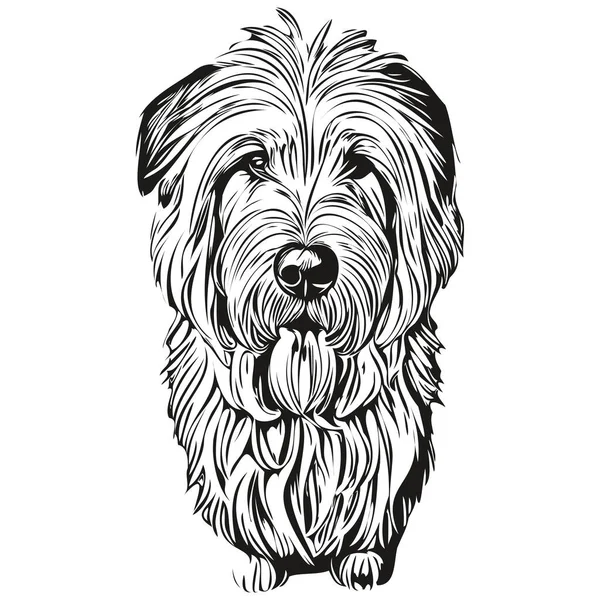 Gamla Engelska Sheepdog Hund Hand Dras Logotyp Ritning Svart Och — Stock vektor
