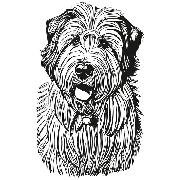 Velho Inglês Sheepdog Mão Cão Desenhado Logotipo Desenho Preto Branco — Vetor de Stock