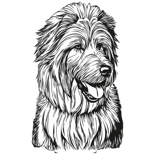 Velho Inglês Sheepdog Cão Mão Logotipo Desenhado Desenho Preto Branco — Vetor de Stock