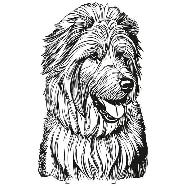 Vieux Chien Berger Anglais Dessiné Main Logo Dessin Noir Blanc — Image vectorielle