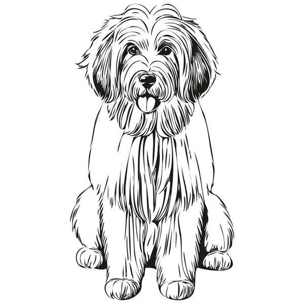 Old English Sheepdog Logo Wektor Czarno Biały Vintage Ładny Pies — Wektor stockowy
