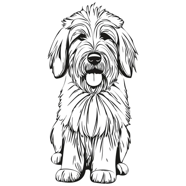 古い英語シープドッグロゴベクトル黒と白 ヴィンテージかわいい犬の頭の彫刻スケッチ図面 — ストックベクタ