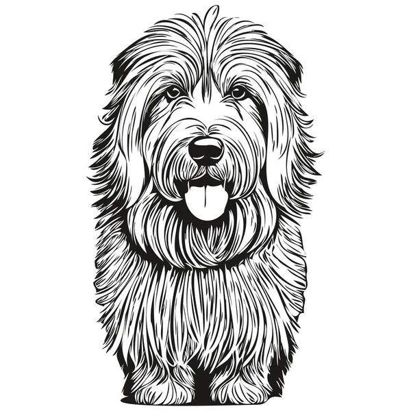 Old English Sheepdog Dog Line Illustration Schwarz Weiß Tusche Skizze — Stockvektor
