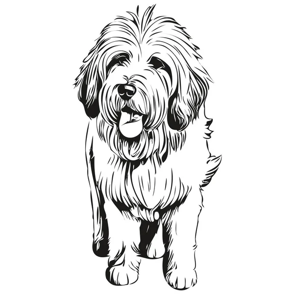 Old English Sheepdog Dog Outline Pencil Drawing Artwork Black Character — Stock Vector