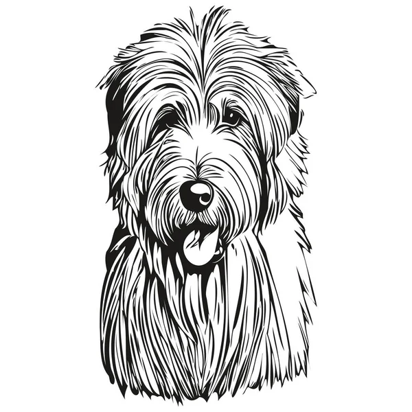 Velho Inglês Sheepdog Esboço Lápis Desenho Arte Personagem Preto Fundo — Vetor de Stock