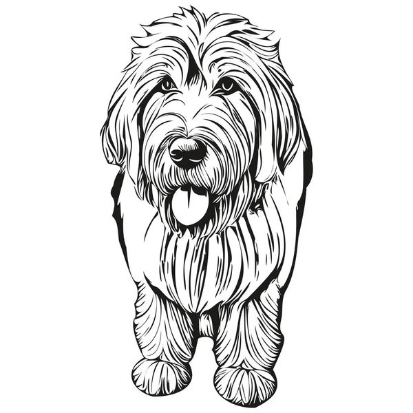 Old English Sheepdog Dog Bleistift Hand Zeichnung Vektor Umriss Illustration — Stockvektor