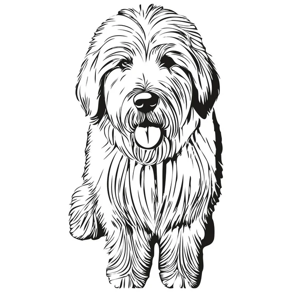 Vecchio Inglese Sheepdog Cane Pet Silhouette Linea Animale Illustrazione Disegnato — Vettoriale Stock