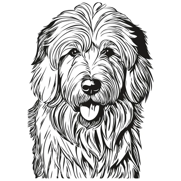 Gamla Engelska Sheepdog Hund Penna Hand Rita Vektor Kontur Illustration — Stock vektor