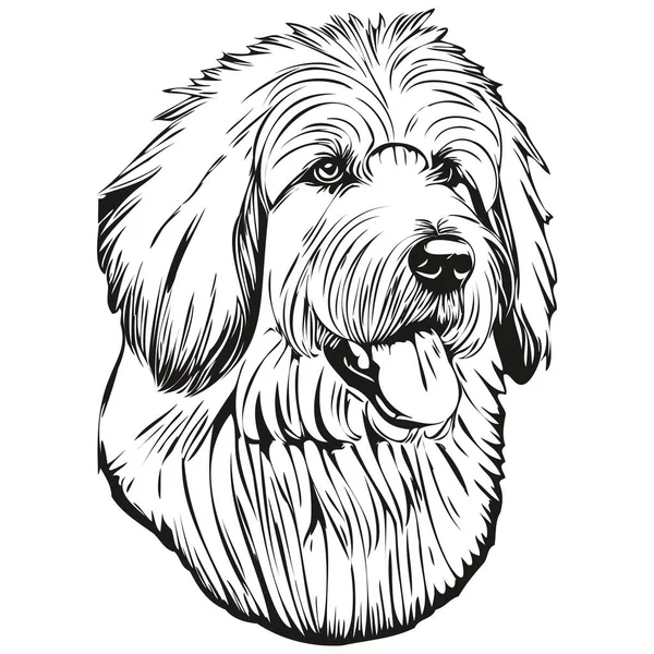 Παλιά Αγγλική Sheepdog Σκυλί Συντροφιάς Σιλουέτα Ζώων Γραμμή Εικονογράφηση Χέρι — Διανυσματικό Αρχείο