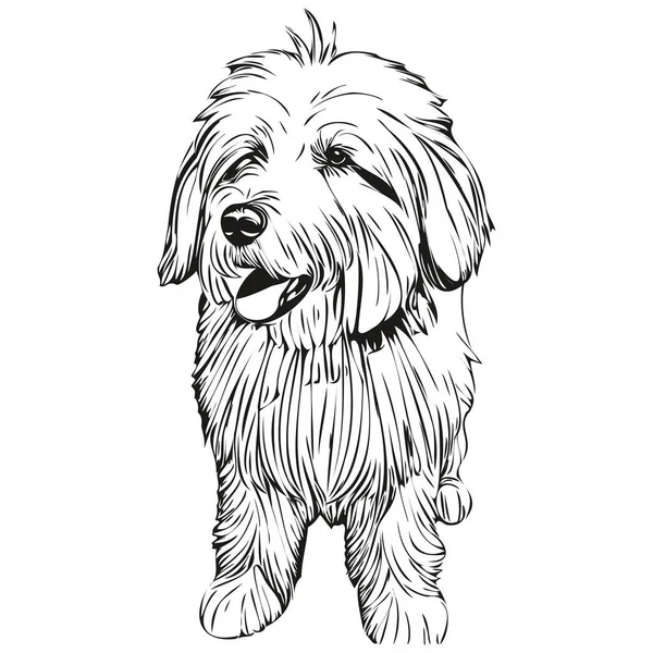 Vecchio Inglese Sheepdog Cane Pet Silhouette Linea Animale Illustrazione Disegnato — Vettoriale Stock