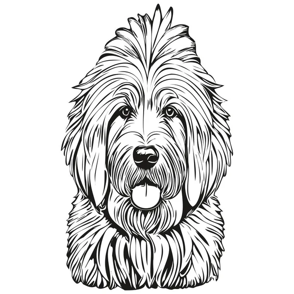 Староанглійська Вівчарка Реалістичний Малюнок Олівцем Векторі Лінія Мистецтва Ілюстрація Собаки — стоковий вектор