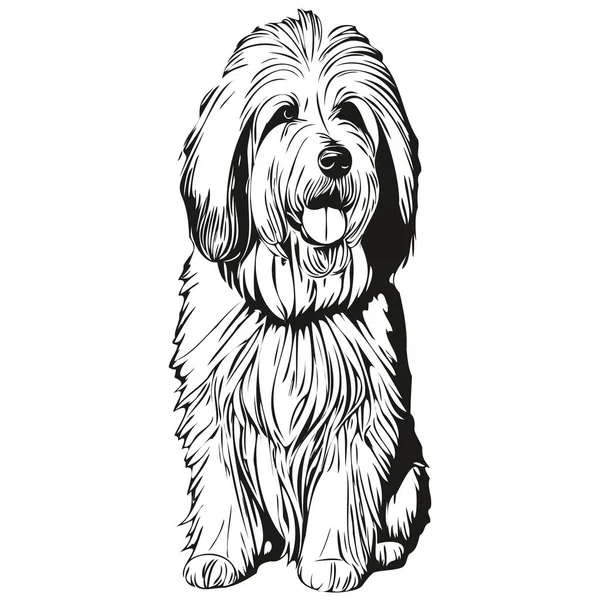 Παλιά Αγγλικά Sheepdog Σκυλί Σιλουέτα Κατοικίδιο Ζώο Χαρακτήρα Κλιπ Τέχνης — Διανυσματικό Αρχείο